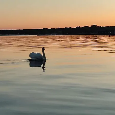 De Luette Nest Daire *