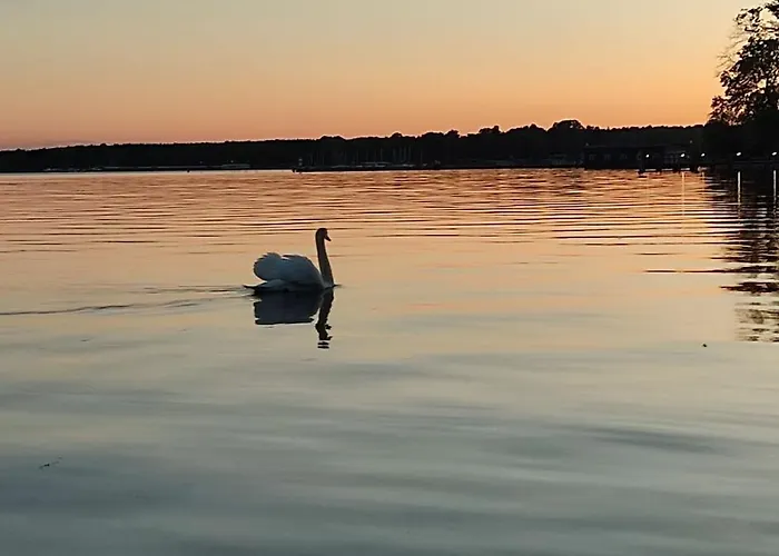 De Luette Nest דירה *